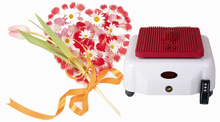 cgm mcb 1201 Сцэк тяньши